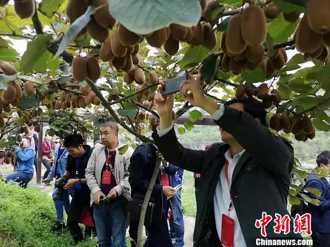 人大代表建言加快贵州绿色农产品海内外市场拓展