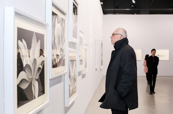 “陈琦格致:一个展示和理解的实验”在南京德基美术馆隆重开幕 “陈琦格致:一个展示和理解的实验”在南京德基美术馆隆重开幕