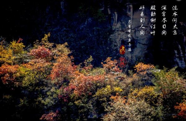 马韩进摄影作品精选（二）