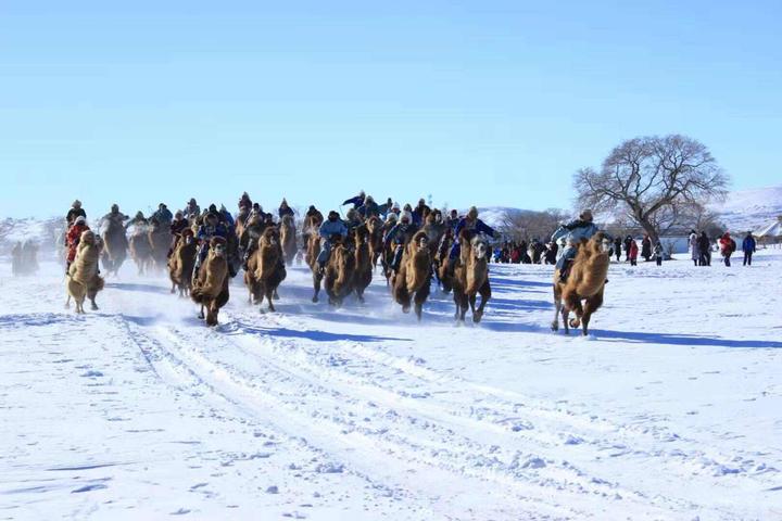 2019•錫林郭勒冬季旅遊啓動儀式暨第17屆「渾善達克」冬季那達慕21日於正藍旗舉行