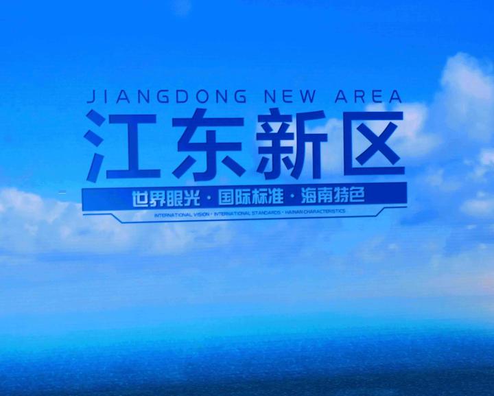 海南省侨联组织特聘专家考察江东新区展示馆