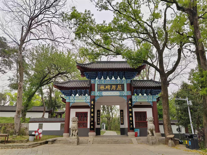 岳阳行，为血脉深处的文化认同加温