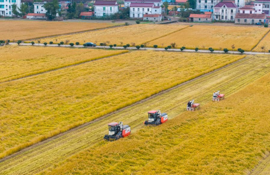 中央农村工作会议释放强农信号