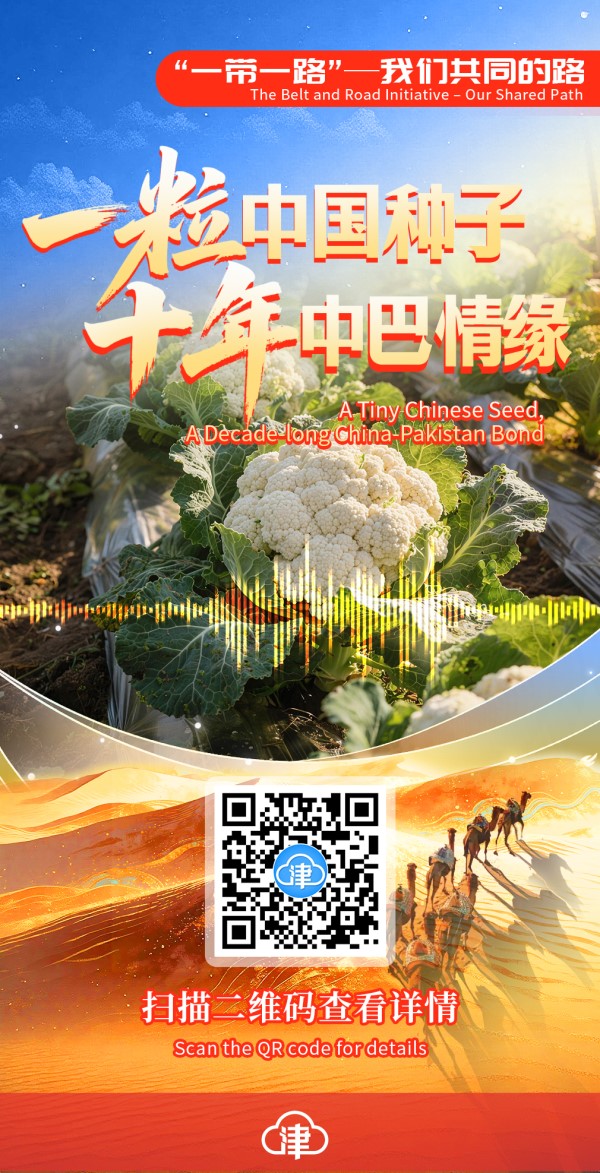 “一带一路”——我们共同的路 | 一粒中国种子 十年中巴情缘